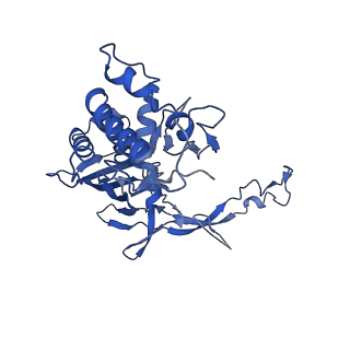 21146_6vbw_D_v1-1
Cryo-EM structure of Cascade-TniQ-dsDNA ternary complex