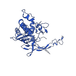 21146_6vbw_D_v1-2
Cryo-EM structure of Cascade-TniQ-dsDNA ternary complex