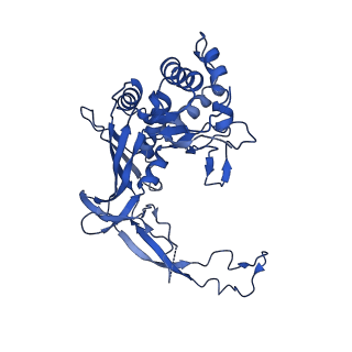 21146_6vbw_E_v1-1
Cryo-EM structure of Cascade-TniQ-dsDNA ternary complex