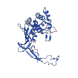 21146_6vbw_E_v1-2
Cryo-EM structure of Cascade-TniQ-dsDNA ternary complex