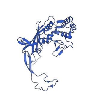 21146_6vbw_F_v1-1
Cryo-EM structure of Cascade-TniQ-dsDNA ternary complex
