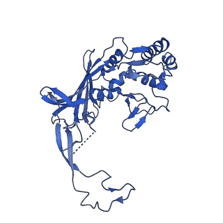 21146_6vbw_F_v1-2
Cryo-EM structure of Cascade-TniQ-dsDNA ternary complex