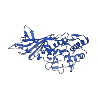 21146_6vbw_G_v1-1
Cryo-EM structure of Cascade-TniQ-dsDNA ternary complex