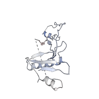 21146_6vbw_H_v1-1
Cryo-EM structure of Cascade-TniQ-dsDNA ternary complex