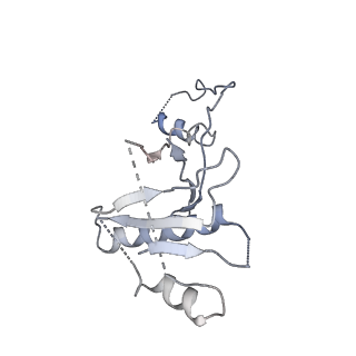 21146_6vbw_H_v1-2
Cryo-EM structure of Cascade-TniQ-dsDNA ternary complex