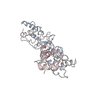 21146_6vbw_I_v1-1
Cryo-EM structure of Cascade-TniQ-dsDNA ternary complex