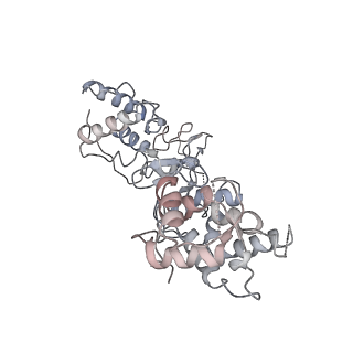 21146_6vbw_I_v1-2
Cryo-EM structure of Cascade-TniQ-dsDNA ternary complex