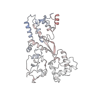 21146_6vbw_J_v1-1
Cryo-EM structure of Cascade-TniQ-dsDNA ternary complex