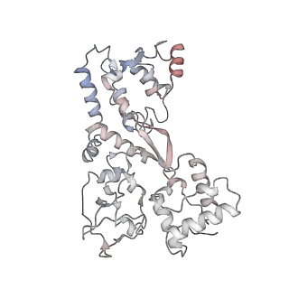 21146_6vbw_J_v1-2
Cryo-EM structure of Cascade-TniQ-dsDNA ternary complex