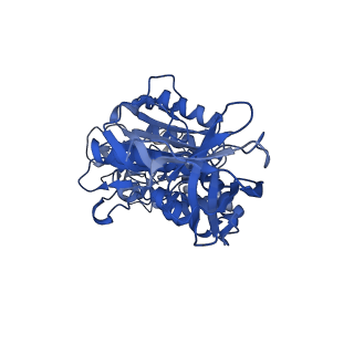 31873_7vb0_F_v1-0
V1EG domain of V/A-ATPase from Thermus thermophilus at saturated ATP-gamma-S condition, state3