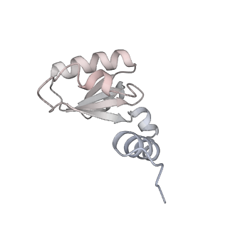 31873_7vb0_H_v1-0
V1EG domain of V/A-ATPase from Thermus thermophilus at saturated ATP-gamma-S condition, state3