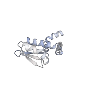31873_7vb0_L_v1-0
V1EG domain of V/A-ATPase from Thermus thermophilus at saturated ATP-gamma-S condition, state3