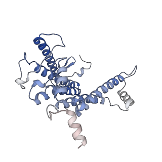 31875_7vb9_L_v1-0
Rba sphaeroides PufY-KO RC-LH1 dimer type-2