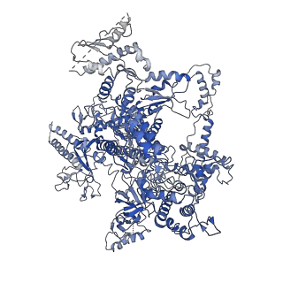 31876_7vba_A_v1-0
Structure of the pre state human RNA Polymerase I Elongation Complex