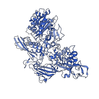 31876_7vba_B_v1-0
Structure of the pre state human RNA Polymerase I Elongation Complex