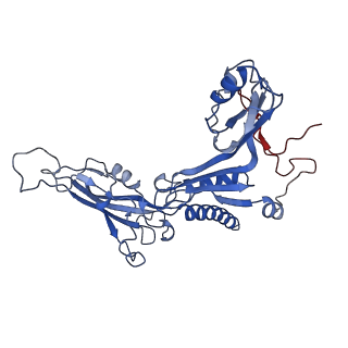 31876_7vba_C_v1-0
Structure of the pre state human RNA Polymerase I Elongation Complex