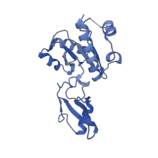 31876_7vba_E_v1-0
Structure of the pre state human RNA Polymerase I Elongation Complex