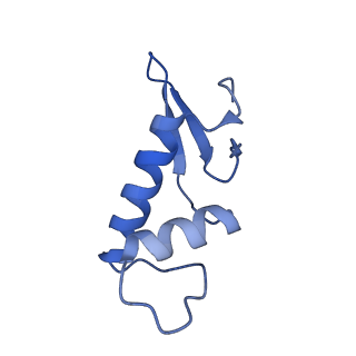 31876_7vba_F_v1-0
Structure of the pre state human RNA Polymerase I Elongation Complex