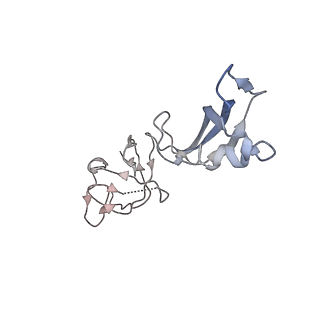 31876_7vba_G_v1-0
Structure of the pre state human RNA Polymerase I Elongation Complex