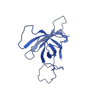 31876_7vba_H_v1-0
Structure of the pre state human RNA Polymerase I Elongation Complex