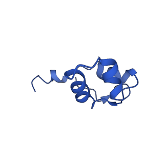 31876_7vba_J_v1-0
Structure of the pre state human RNA Polymerase I Elongation Complex