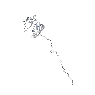 31876_7vba_N_v1-0
Structure of the pre state human RNA Polymerase I Elongation Complex