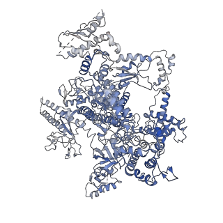 31877_7vbb_A_v1-0
Structure of the post state human RNA Polymerase I Elongation Complex
