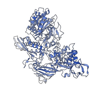 31877_7vbb_B_v1-0
Structure of the post state human RNA Polymerase I Elongation Complex