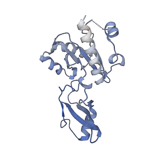 31877_7vbb_E_v1-0
Structure of the post state human RNA Polymerase I Elongation Complex
