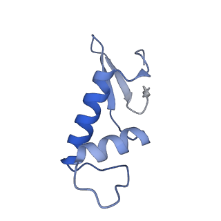 31877_7vbb_F_v1-0
Structure of the post state human RNA Polymerase I Elongation Complex
