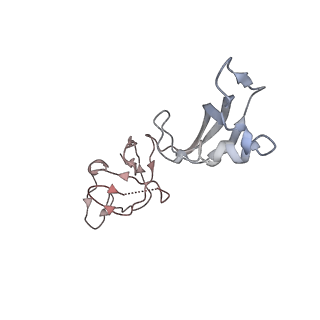 31877_7vbb_G_v1-0
Structure of the post state human RNA Polymerase I Elongation Complex