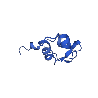 31877_7vbb_J_v1-0
Structure of the post state human RNA Polymerase I Elongation Complex
