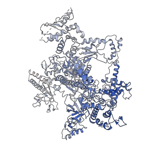 31878_7vbc_A_v1-0
Back track state of human RNA Polymerase I Elongation Complex