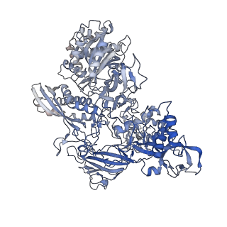 31878_7vbc_B_v1-0
Back track state of human RNA Polymerase I Elongation Complex