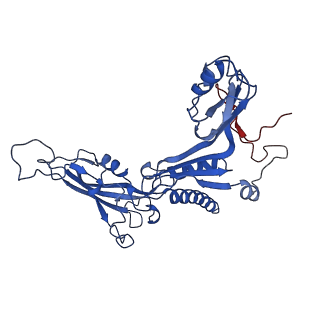 31878_7vbc_C_v1-0
Back track state of human RNA Polymerase I Elongation Complex