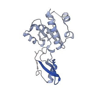 31878_7vbc_E_v1-0
Back track state of human RNA Polymerase I Elongation Complex