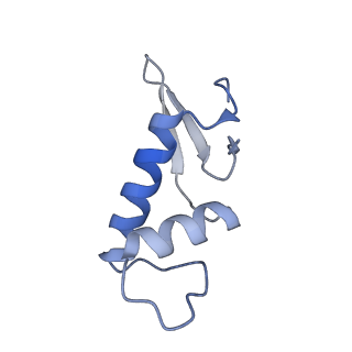31878_7vbc_F_v1-0
Back track state of human RNA Polymerase I Elongation Complex