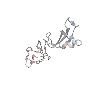 31878_7vbc_G_v1-0
Back track state of human RNA Polymerase I Elongation Complex