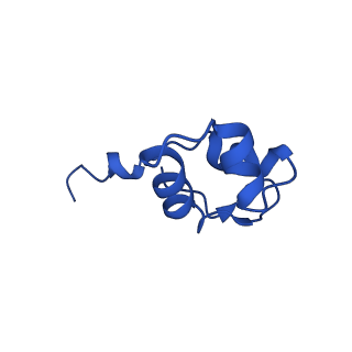31878_7vbc_J_v1-0
Back track state of human RNA Polymerase I Elongation Complex