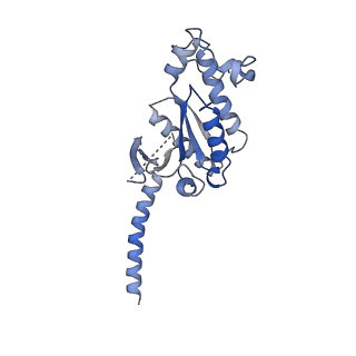 31879_7vbh_A_v1-0
Cryo-EM structure of the GIPR/GLP-1R/GCGR triagonist peptide 20-bound human GLP-1R-Gs complex