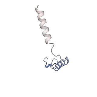 31879_7vbh_G_v1-0
Cryo-EM structure of the GIPR/GLP-1R/GCGR triagonist peptide 20-bound human GLP-1R-Gs complex