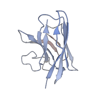 31879_7vbh_N_v1-0
Cryo-EM structure of the GIPR/GLP-1R/GCGR triagonist peptide 20-bound human GLP-1R-Gs complex