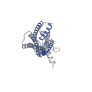 31879_7vbh_R_v1-0
Cryo-EM structure of the GIPR/GLP-1R/GCGR triagonist peptide 20-bound human GLP-1R-Gs complex