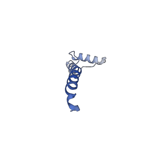 31881_7vbl_S_v1-0
Membrane arm of active state CI from DQ-NADH dataset