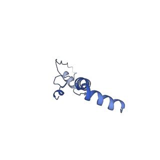 31881_7vbl_U_v1-0
Membrane arm of active state CI from DQ-NADH dataset
