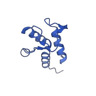 31881_7vbl_X_v1-0
Membrane arm of active state CI from DQ-NADH dataset