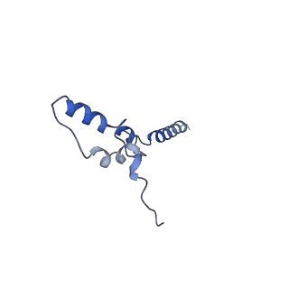 31881_7vbl_Z_v1-0
Membrane arm of active state CI from DQ-NADH dataset