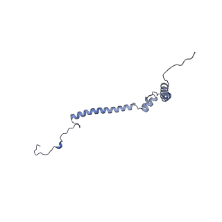31881_7vbl_a_v1-0
Membrane arm of active state CI from DQ-NADH dataset