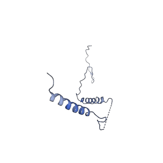 31881_7vbl_b_v1-0
Membrane arm of active state CI from DQ-NADH dataset