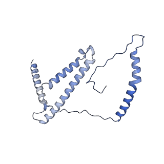 31881_7vbl_d_v1-0
Membrane arm of active state CI from DQ-NADH dataset